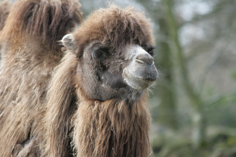 Fotoclubje Blijdorp 2008-42.jpg